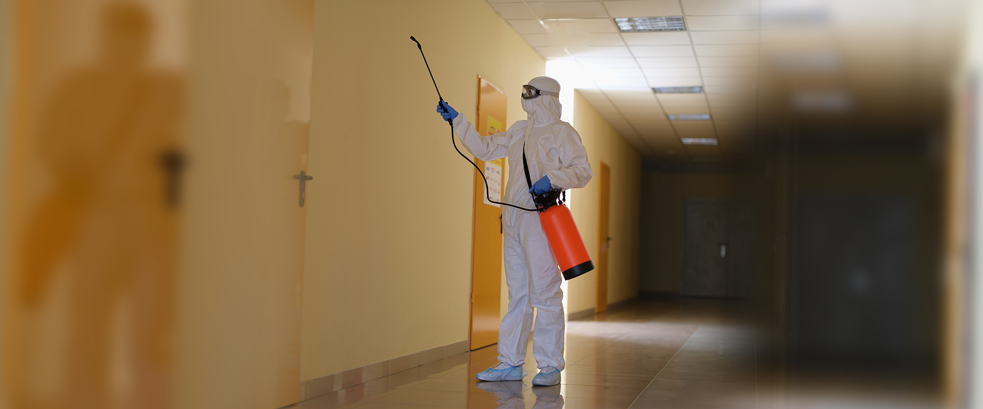 Commercial Pest Control Coimbatore