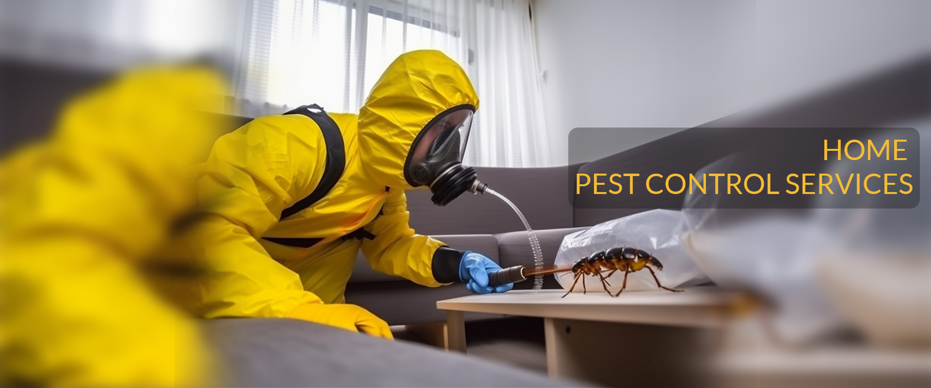 Home Pest Control Services Coimbatore